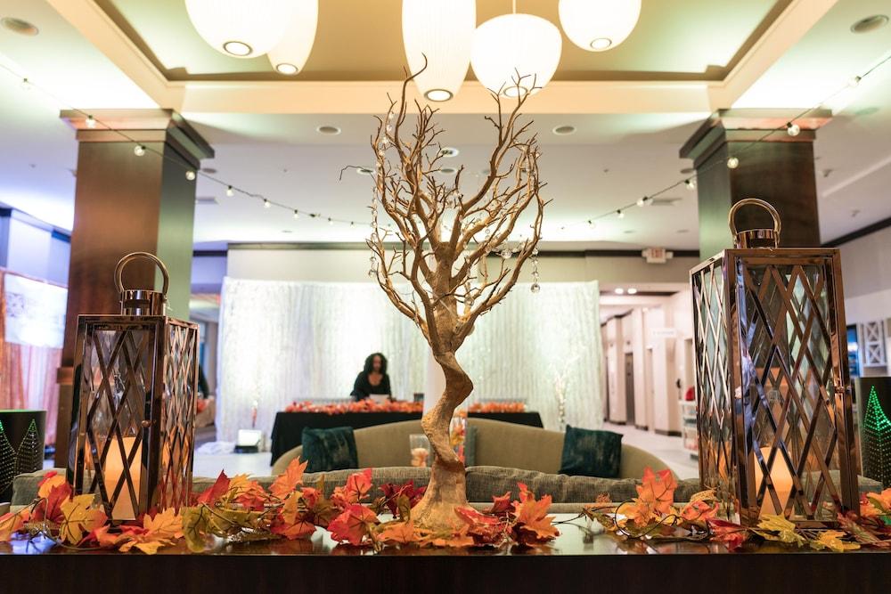 Hilton Garden Inn Shirlington Arlington Ngoại thất bức ảnh